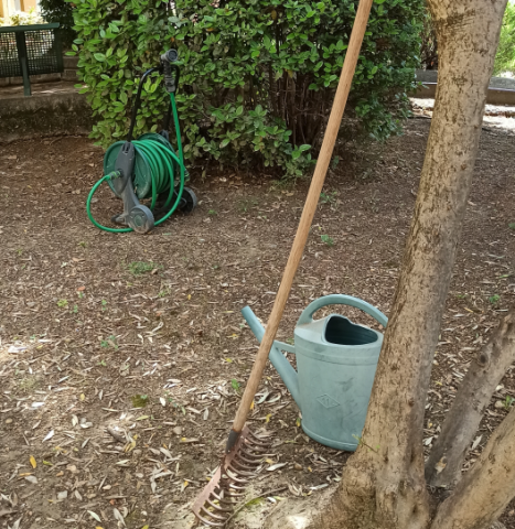 Entretien de jardin en SAP à Montpellier